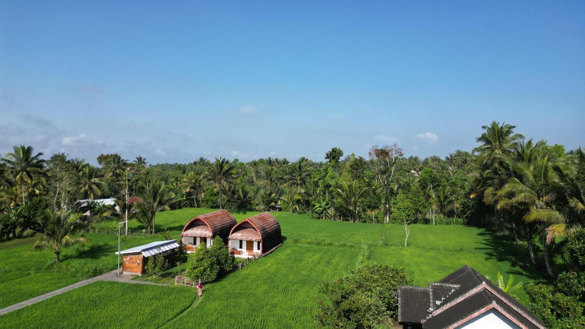 Bale Tetebatu Villa Buitenkant foto