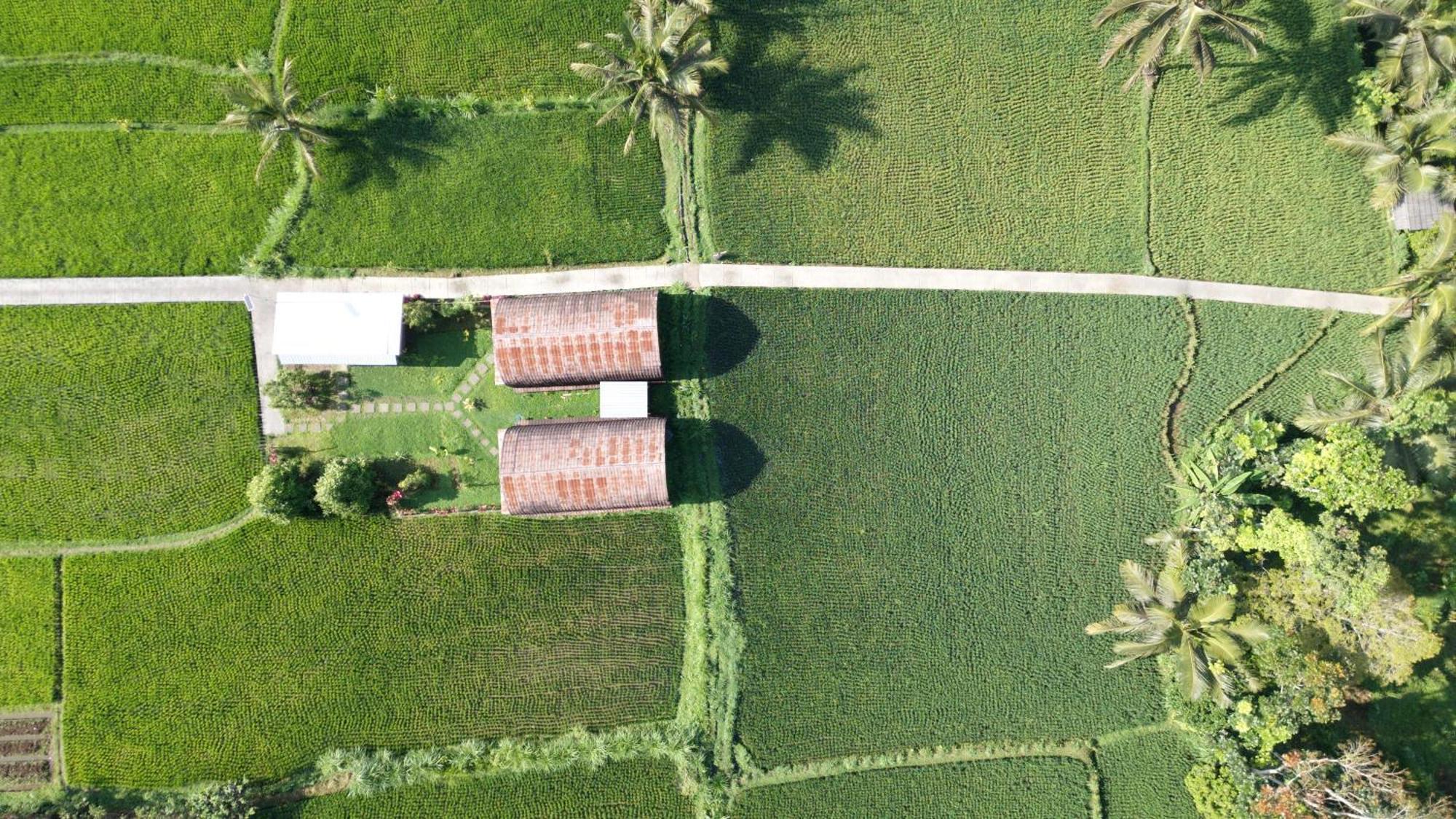 Bale Tetebatu Villa Buitenkant foto