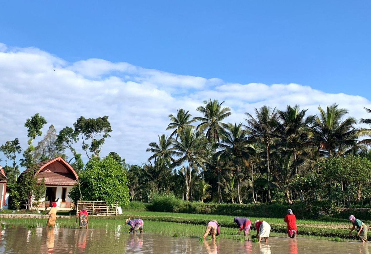 Bale Tetebatu Villa Buitenkant foto