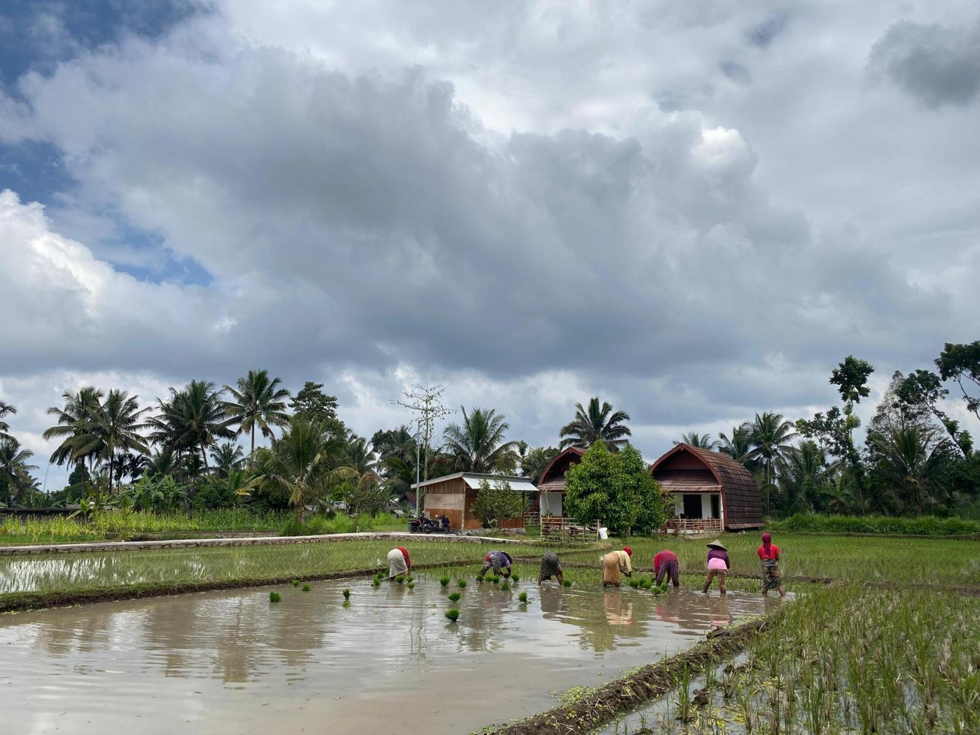 Bale Tetebatu Villa Buitenkant foto