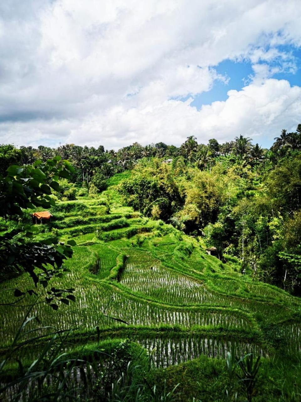 Bale Tetebatu Villa Buitenkant foto